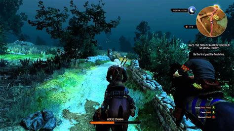 witcher 3 palio